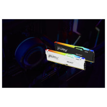 Kingston Technology FURY Beast RGB memory module
