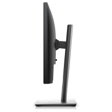 DELL P serijos P1917S kompiuterio monitorius
