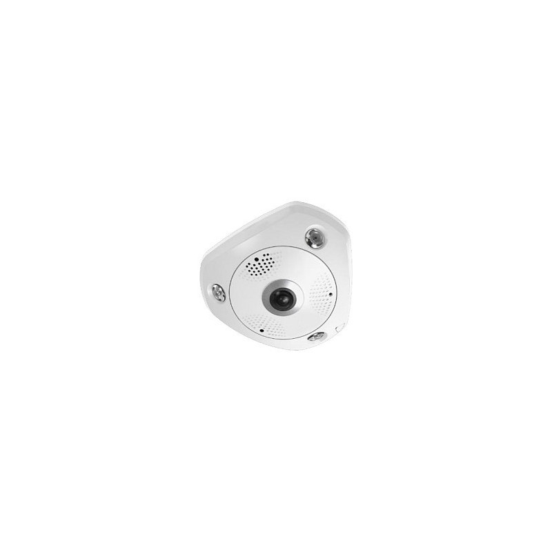 „LevelOne FCS-3095“ apsaugos kamera