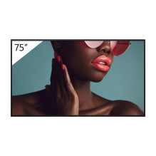 „Sony FW-75BZ40L“ informacinis ekranas