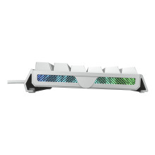 CHERRY XTRFY MX 3.1 keyboard