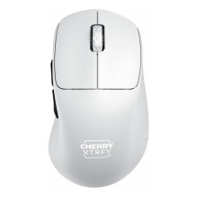 CHERRY XTRFY...