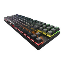 CHERRY MX 8.2 TKL Wireless RGB keyboard