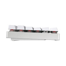 CHERRY MX 8.2 TKL Wireless RGB keyboard