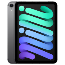 Apple iPad mini