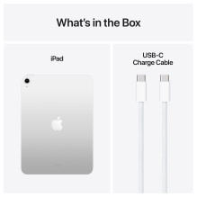 Apple iPad