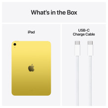 Apple iPad
