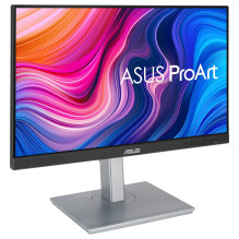 ASUS ProArt PA247CV kompiuterio monitorius