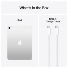Apple iPad