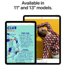 Apple iPad Air