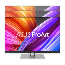 ASUS ProArt PA248CRV kompiuterio monitorius