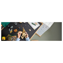 LEGO Jurassic World dinozaurų fosilijos: Triceratopso kaukolė