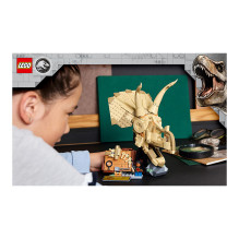 LEGO Jurassic World dinozaurų fosilijos: Triceratopso kaukolė