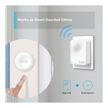 Tp-Link Tapo H100