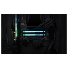„Kingston Technology FURY Beast RGB“ atminties modulis
