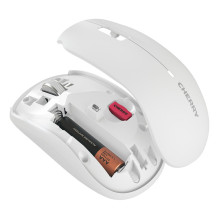 CHERRY JW-T2200-0 pelė