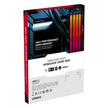 Kingston Technology FURY Renegade RGB memory module