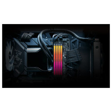 Kingston Technology FURY Renegade RGB memory module