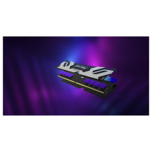 Kingston Technology FURY Renegade RGB memory module
