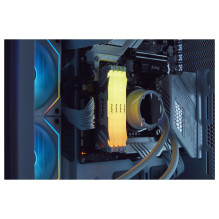 Kingston Technology FURY Renegade RGB memory module