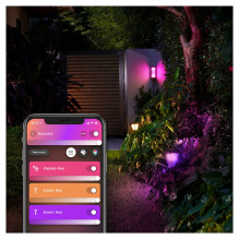 Philips by Signify Hue White and colour ambience 1745930P7