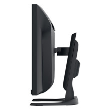 EIZO FlexScan EV3450XC-BK kompiuterio monitorius