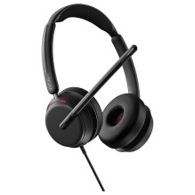 „Lenovo 4Z21P85373“ ausinės