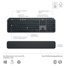 „Logitech 920-011606“ klaviatūra