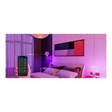 Govee H6009 Govee H6009