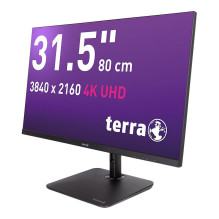 TERRA 3030234 kompiuterio monitorius