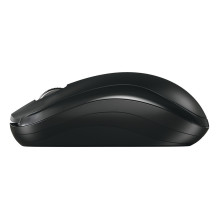 CHERRY JW-T2200-2 mouse