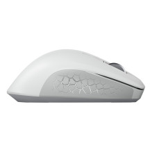 CHERRY JW-8550-0 mouse