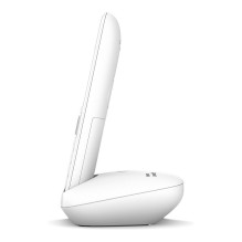 Gigaset E390