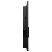 DELL P5525QC