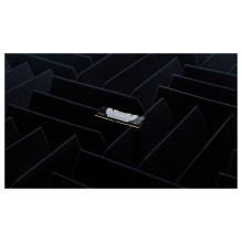 Kingston Technology FURY Renegade memory module