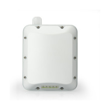 RUCKUS Networks T350c
