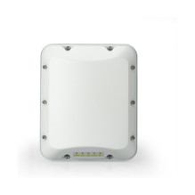 RUCKUS tinklai T350c