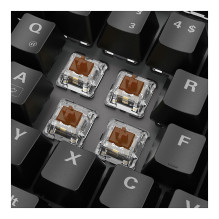 Sharkoon SKILLER SGK20 Brown keyboard