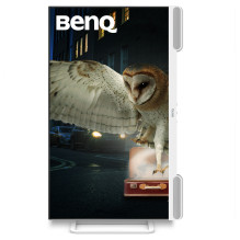 BenQ EW3290U kompiuterio monitorius