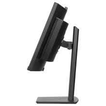 iiyama ProLite XCB3497WQSNPH-B1 computer monitor