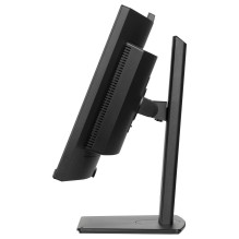 „iiyama ProLite XCB3497WQSNPH-B1“ kompiuterio monitorius