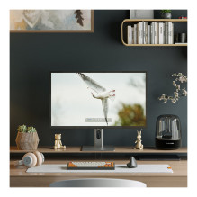 ALOGIC 32C4KPD kompiuterio monitorius