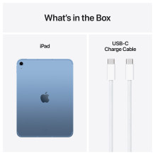 Apple iPad