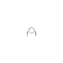 Cisco QSFP-100G-AOC1M...