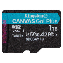 „Kingston Technology Canvas...