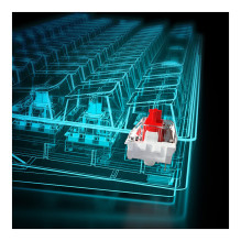 Sharkoon SGK50 S4 keyboard