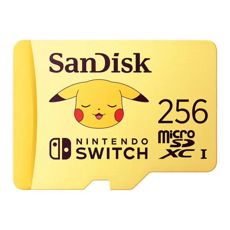 „SanDisk SDSQXAO-256G-GN6ZK“ atminties kortelė