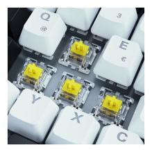 Sharkoon SKILLER SGK50 S3 keyboard