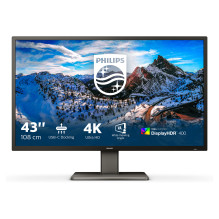 Philips P Line 439P1 / 00 computer monitor