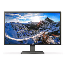 Philips P Line 439P1 / 00 computer monitor